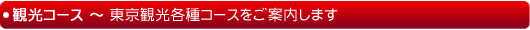 �����X�J�C�c���[��󑐥���A�����^���[�ȂǊό��R�[�X�̂��ē�