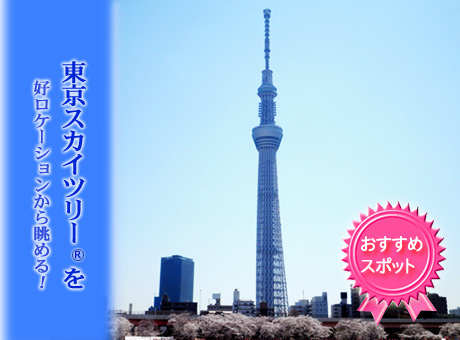 �����X�J�C�c���[��A�󑐁A�ő��㎛�Ȃǐl�C�̊ό��X�|�b�g������ό��R�[�X�ł�